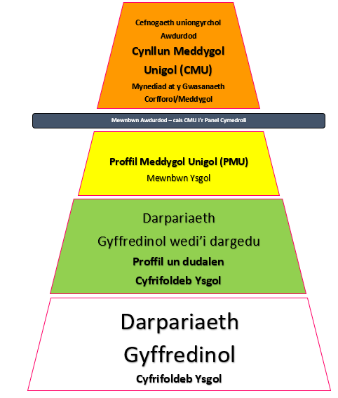 triongl_cyflyrau_meddygol_CY